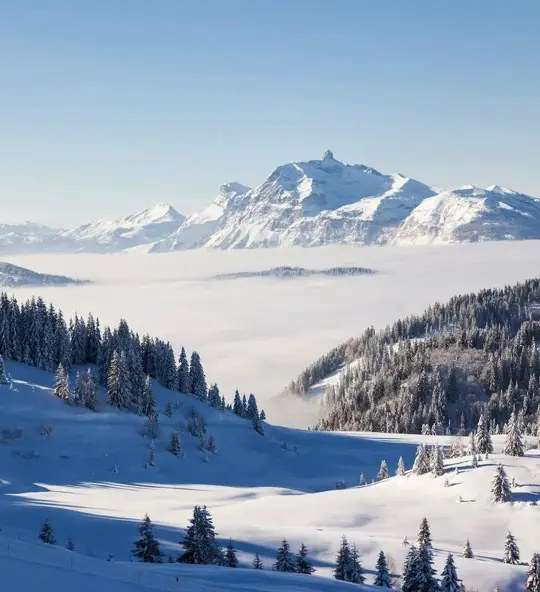 Ski resort Les Gets in winter