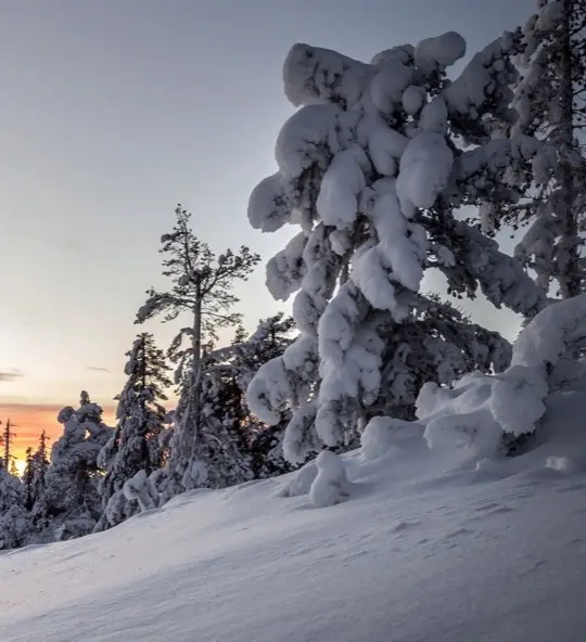 Ski resort Levi in winter