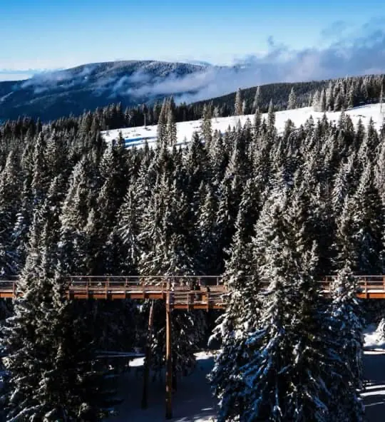 Ski resort Rogla in winter